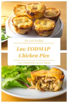 several different pictures of food on plates with the words low fodmap chicken pies