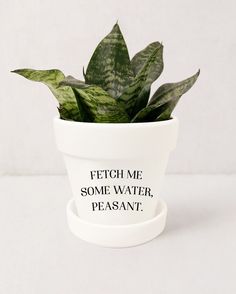 a potted plant with some writing on the side and a white bowl underneath it