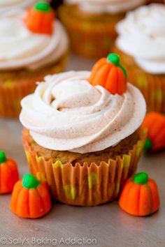 cupcakes with frosting and mini pumpkins on the side, sitting on a table