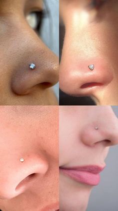 four different images of nose piercings with one woman's nose and the other man's nose