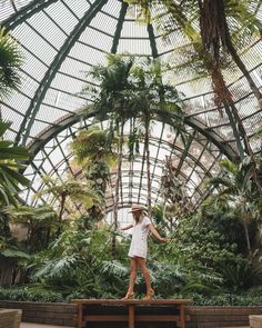 a woman standing on top of a wooden bench in front of palm trees and greenery