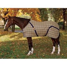 a brown horse standing on top of a lush green field covered in a plaid blanket