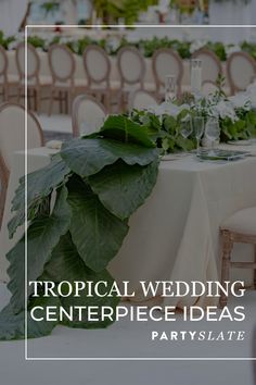 a table set up for a wedding reception with greenery on it and the words tropical wedding centerpiece ideas