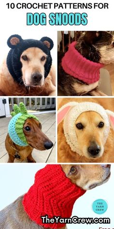 four different dogs wearing hats and scarves with text overlay that reads 10 crochet patterns for dog snoods