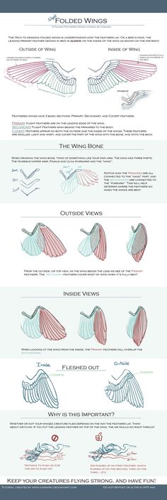 an info sheet showing the different types of aircrafts in each plane, and how they are