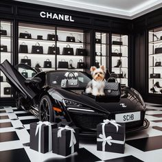 a small dog sitting in the back of a black sports car