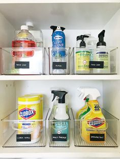 several cleaning products on shelves in a refrigerator