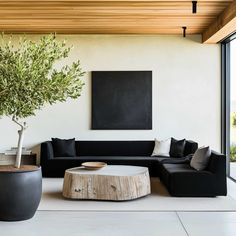 a living room filled with black furniture and a tree in the middle of the room