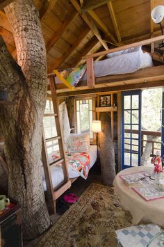 a bedroom with bunk beds in it next to a tree