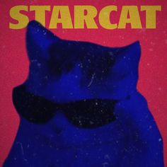 a blue cat with sunglasses on it's head and the words starcat in yellow