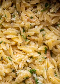 pasta with parmesan cheese and herbs in a pan