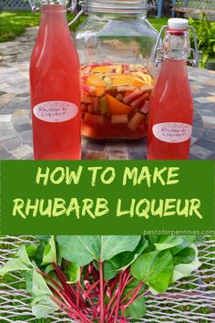 how to make rhubarb liqueur with fresh fruit and vegetables on the table