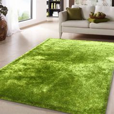 a living room with a green rug on the floor