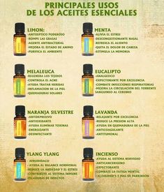 Do Terra, Doterra Blends, Esential Oils, Magia Das Ervas, Doterra Oils, Les Chakras, Doterra Essential Oils, Essential Oil Recipes, Young Living Essential Oils