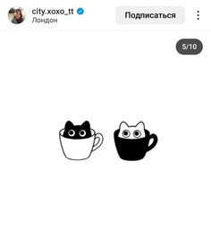 two cats sitting in coffee cups with eyes drawn on them