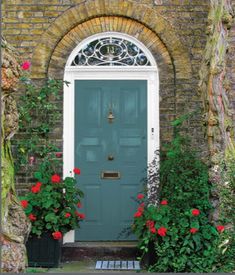 a green door surrounded by plants and flowers