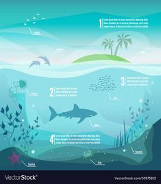 an info poster showing the different types of marine life in the ocean and how to use it