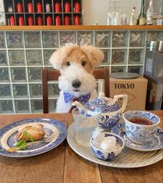 a dog sitting at a table with tea and pastries