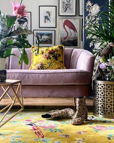 a living room filled with furniture and lots of plants