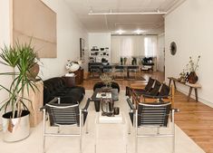 a living room filled with black furniture and lots of plants in the middle of it