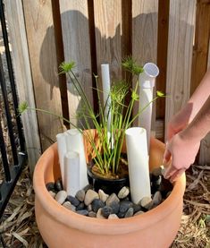 a person placing candles in a planter filled with rocks