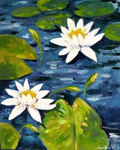 two white water lilies floating on top of green leaves