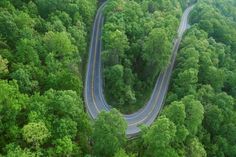 an aerial view of a winding road in the middle of a forest with lots of trees