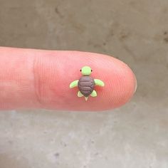 a tiny turtle is sitting on top of someone's finger