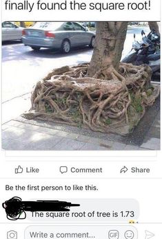 an image of a tree with roots growing out of it