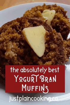 the absolute best yogurt bran muffins really and truly