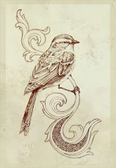 a drawing of a bird sitting on top of a branch with swirls and scrolls