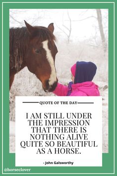 I am still under the impression that there is nothing alive quite so beautiful as a horse.😍😍❤️❤️ 🍀Follow us for more 👉🏼👉🏼 @horseclover 😍 Quote About Horses, Inspiring Horse Quotes, Deep Horse Quotes, You Can Take A Horse To Water Quote, Inspiring Horse Riding Quotes