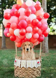 a dog is sitting in a basket with balloons on the top of it that say love