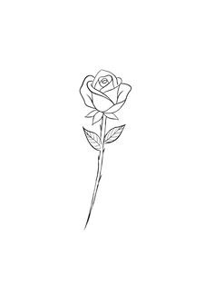 a black and white drawing of a single rose