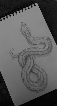 a pencil drawing of a snake on top of a piece of paper with the letter s in it