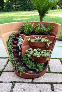 a potted planter filled with succulents and plants on a patio