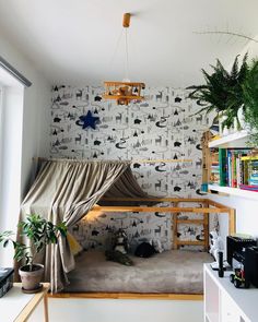 there is a bunk bed in the corner of this room with plants and bookshelves