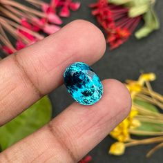 Blue Zircon 11.92ct (ZI1084) 𝐆𝐄𝐌𝐓𝐘𝐏𝐄: Natural Zircon 𝐖𝐄𝐈𝐆𝐇𝐓(𝐜𝐭): 11.92 𝐒𝐈𝐙𝐄(𝐦𝐦): 13.98 x 10.17 x 8.27 𝐏𝐈𝐄𝐂𝐄(𝐬): 1 𝐂𝐋𝐀𝐑𝐈𝐓𝐘: IF  𝐒𝐇𝐀𝐏𝐄: Oval - Modified Brilliant Cut 𝐓𝐑𝐄𝐀𝐓𝐌𝐄𝐍𝐓: None 𝐎𝐑𝐈𝐆𝐈𝐍: Cambodia  𝐂𝐄𝐑𝐓𝐈𝐅𝐈𝐂𝐀𝐓𝐄:  #Zircon #gems #gemstones #luxury #elite #collectible #minetomarket #starlanka #rare #naturalgems #gem #finegems #gemcutter #gemcutting 27 Piece, Blue Zircon, Size 13, Beauty Book, Thailand, Etsy Accessories, Accessory Gift, Gift Card, Gems