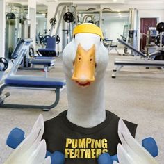 a duck wearing a t - shirt with the words pumping feathers on it's chest