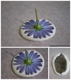 three pictures show the process of making a flower vase with rocks and leaves in it