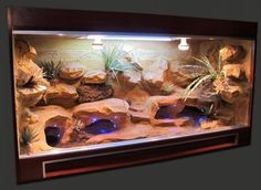 an aquarium with rocks and plants in it