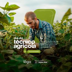 a man kneeling down in the middle of a field with green leaves on it and text that reads, dia do tecnico agriccoa