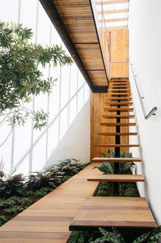 the stairs are made from wood and have plants growing on each side, along with greenery