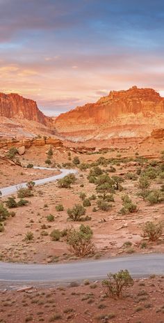 an empty road in the middle of desert with mountains and trees on either side at sunset