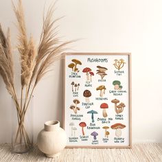 there are many mushrooms on this poster