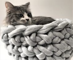 a gray and white cat sitting on top of a large chunky basket made out of yarn