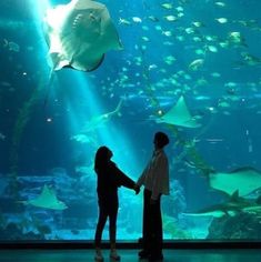 two people holding hands in front of a large aquarium with fish and other marine life