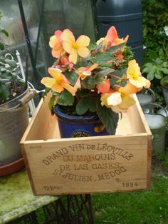 a wooden box with flowers in it sitting on a table next to potted plants