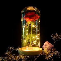 a red rose is in a glass dome with fairy lights on the bottom and below it