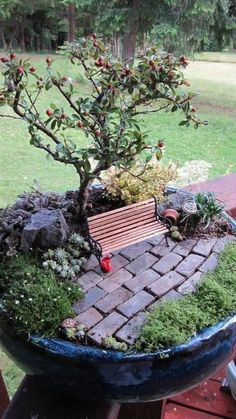 a potted plant with a bench in it